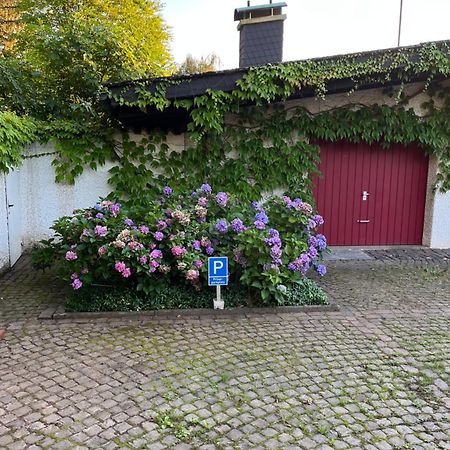 1 Zimmer Whg Waldfischbach Pokój zdjęcie
