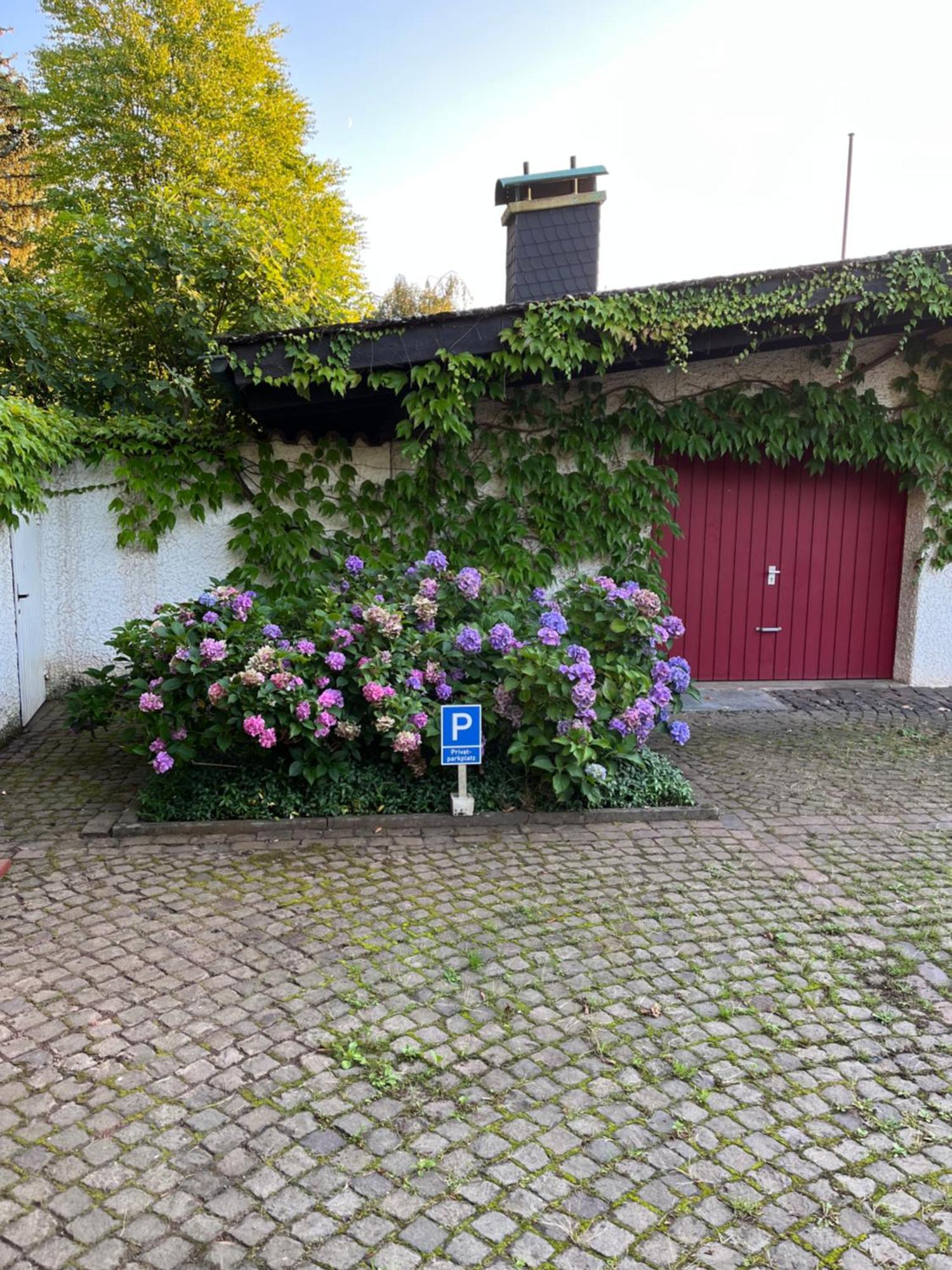 1 Zimmer Whg Waldfischbach Pokój zdjęcie